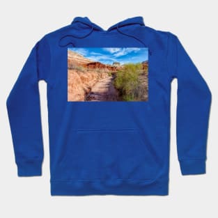 Follow the Wash - Toadstool Trail - Utah Hoodie